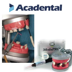 Acadental # NT02-06T