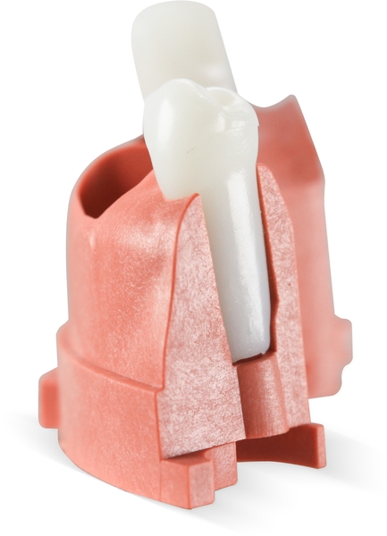 Acadental # NT21-27 MQR