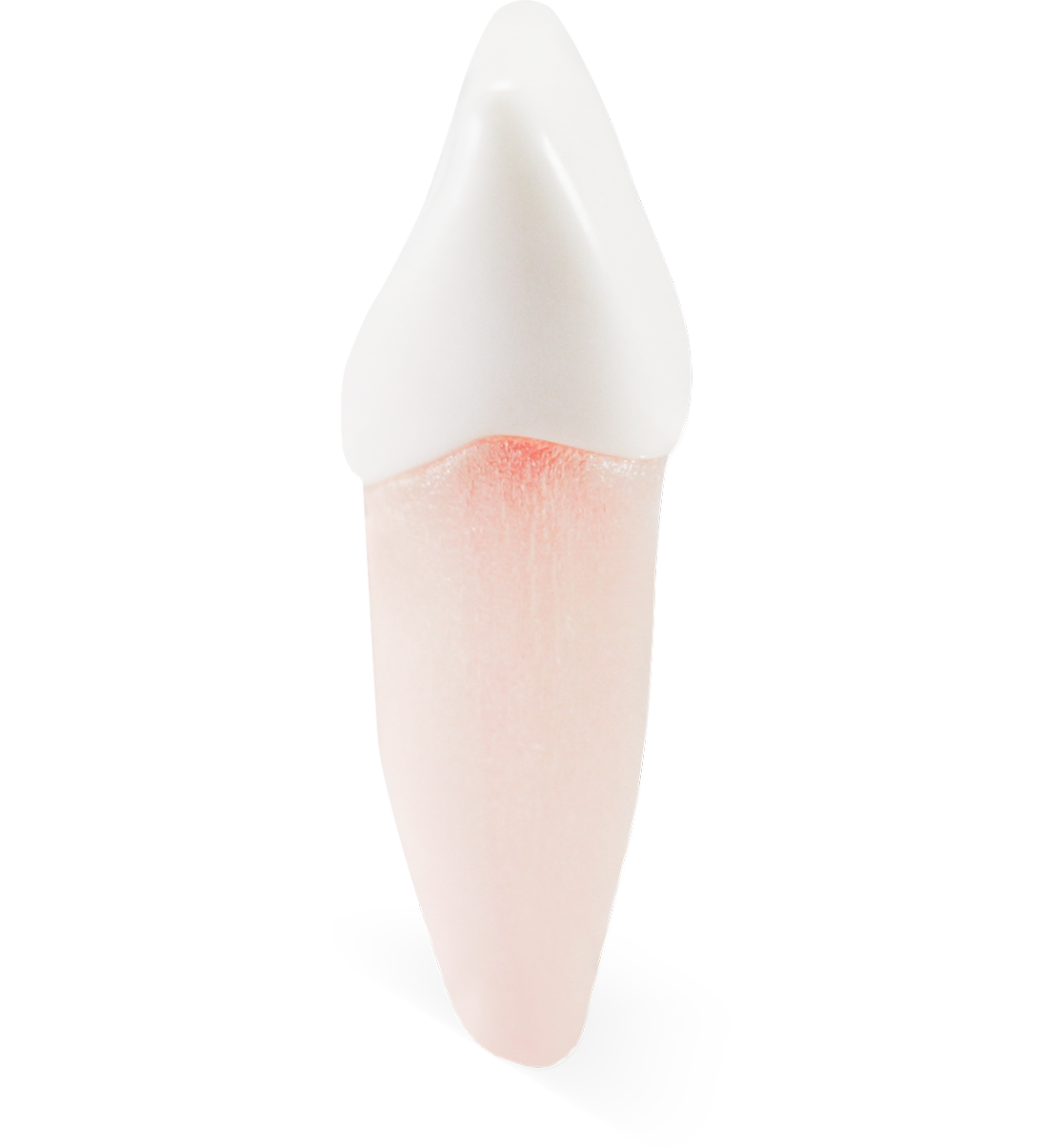 Acadental # RT_AE401_08R