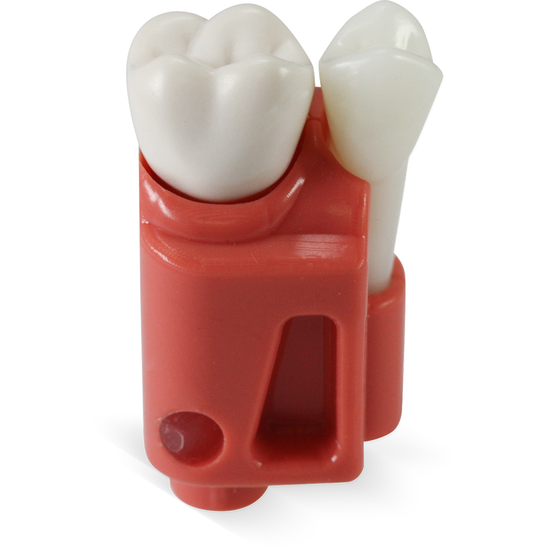 Acadental # RT_AE401_WIR