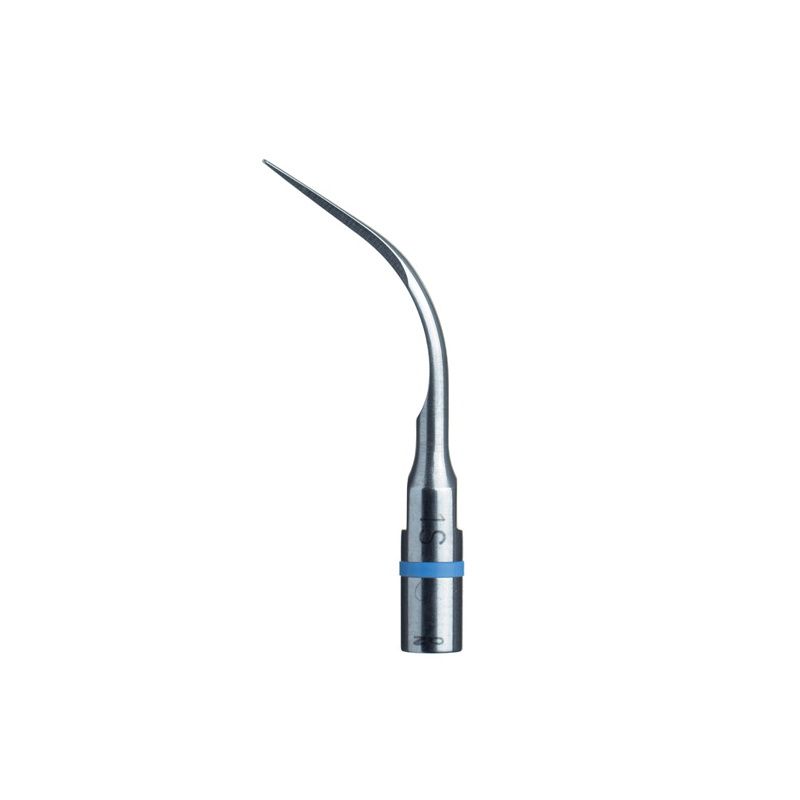 Acteon # F00245