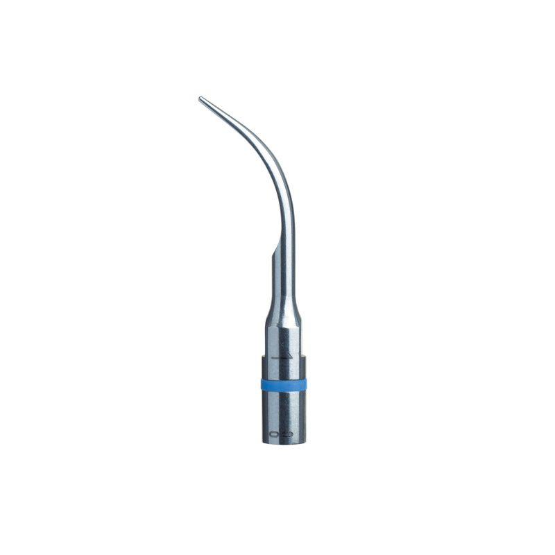 Acteon # F00246