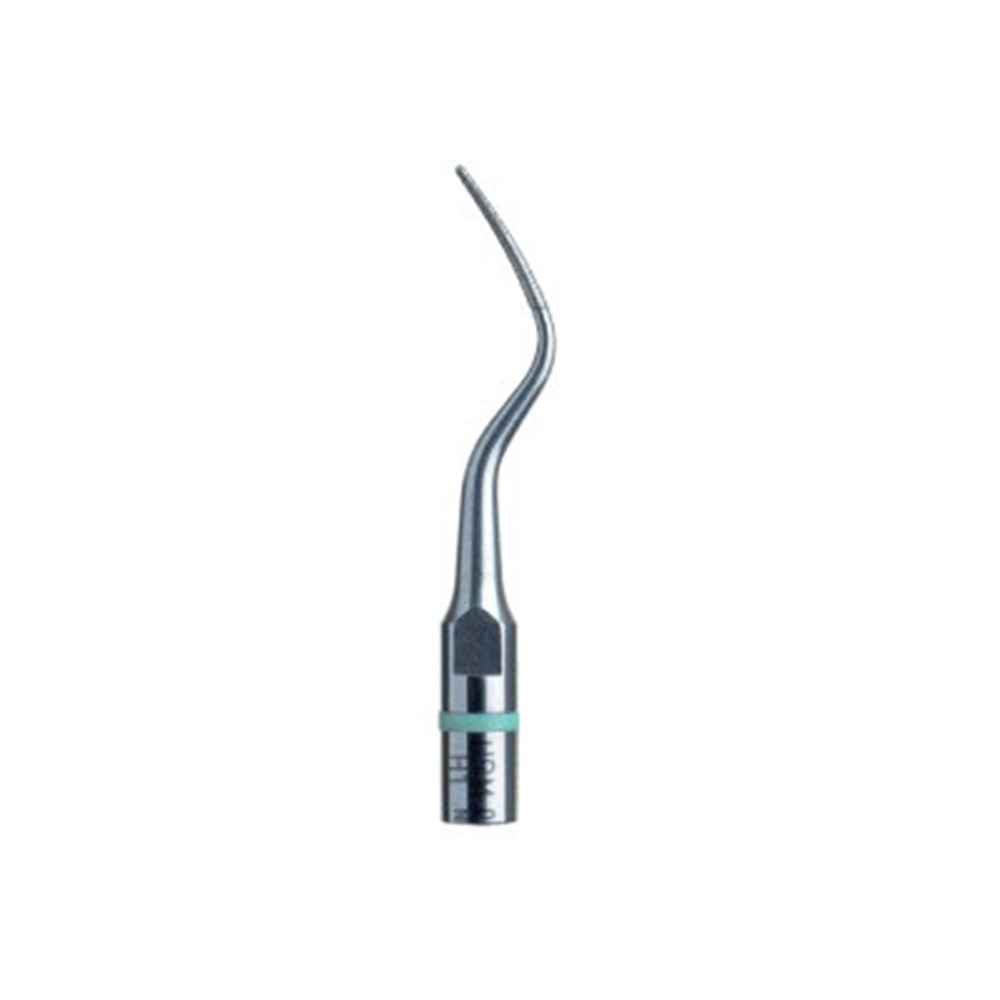 Acteon # F00366