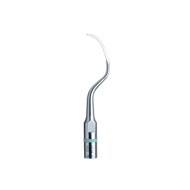 Acteon # F00369
