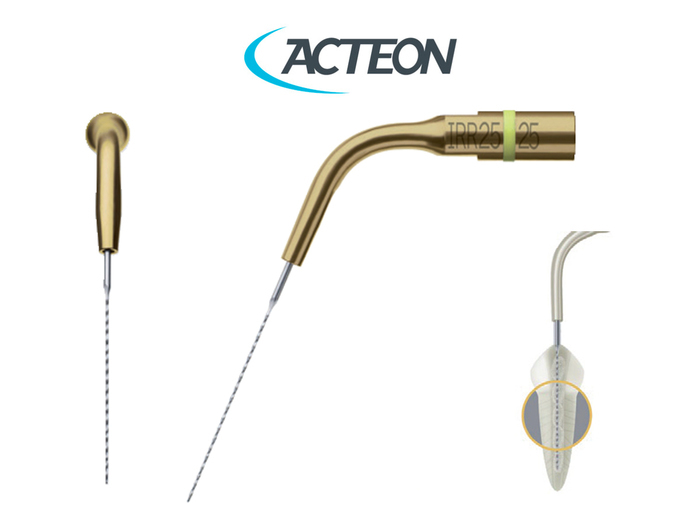 Acteon # F43808