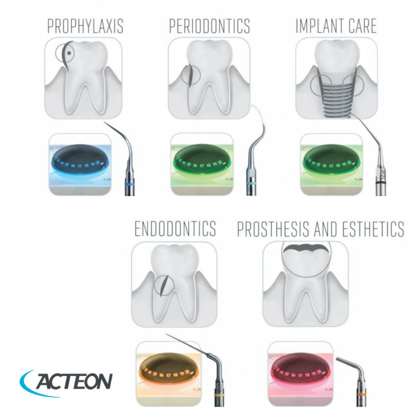Acteon # F60105