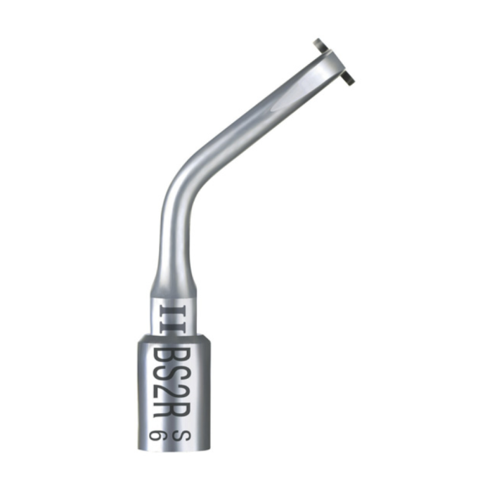 Acteon # F87503