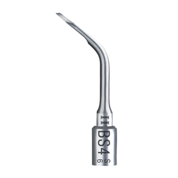 Acteon # F87504