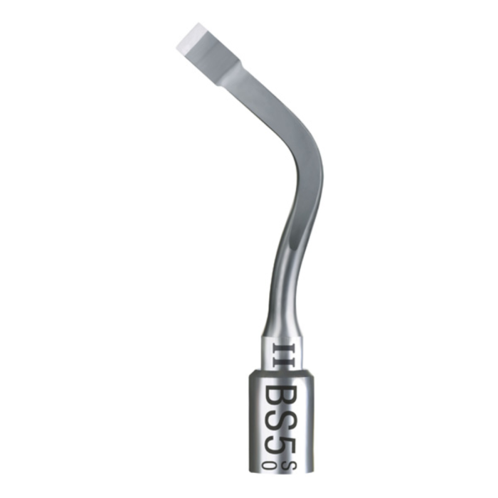Acteon # F87505