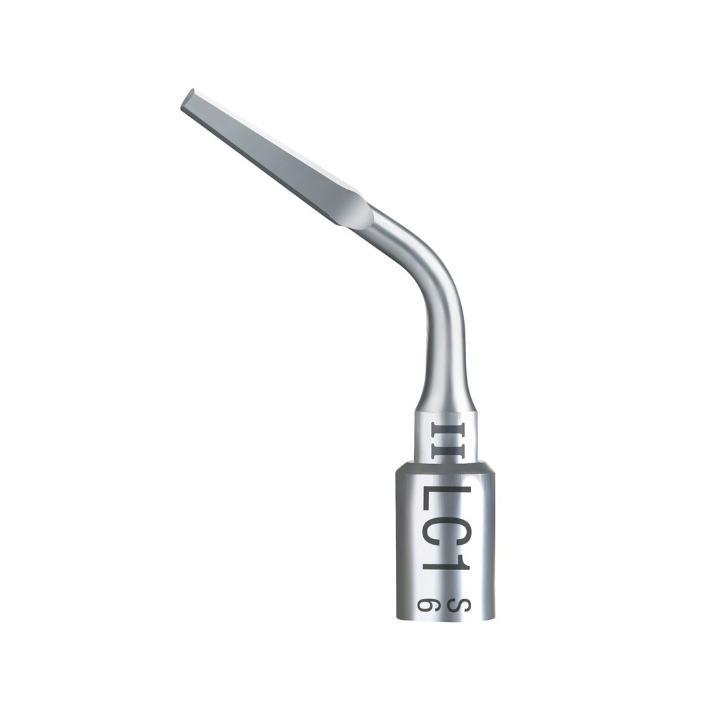 Acteon # F87507