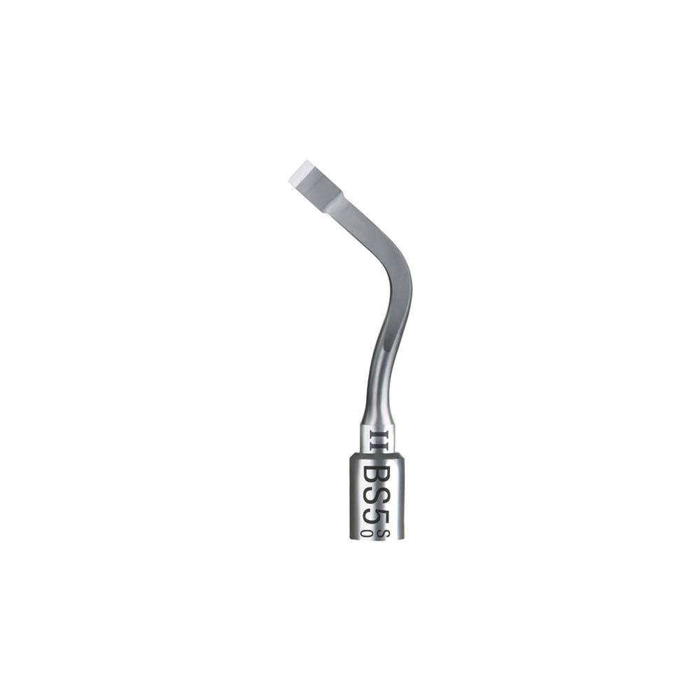 Acteon # F87509