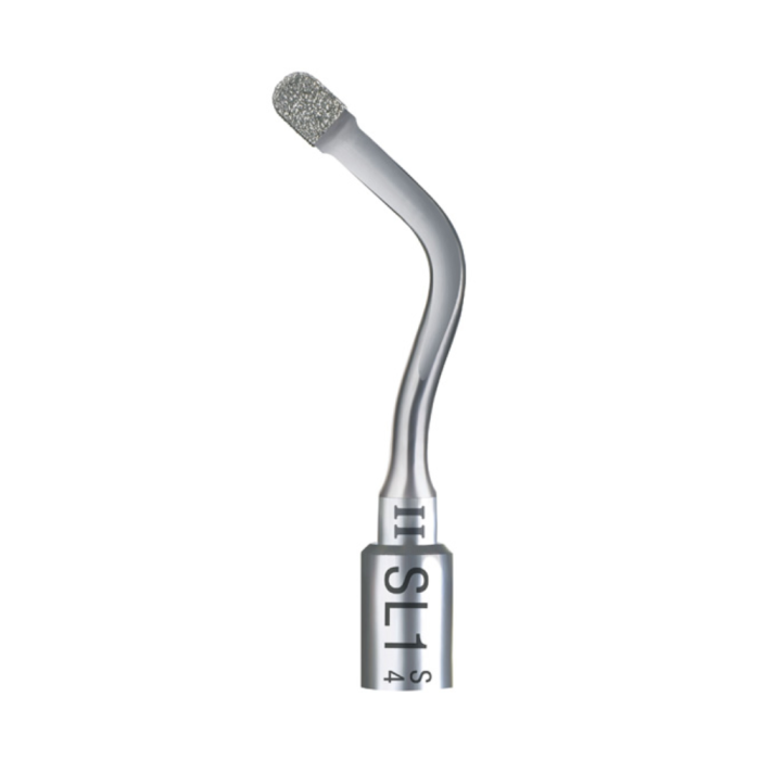 Acteon # F87511