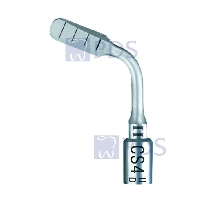 Acteon # F87564