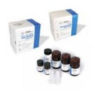 Advanced Instruments # B2A101