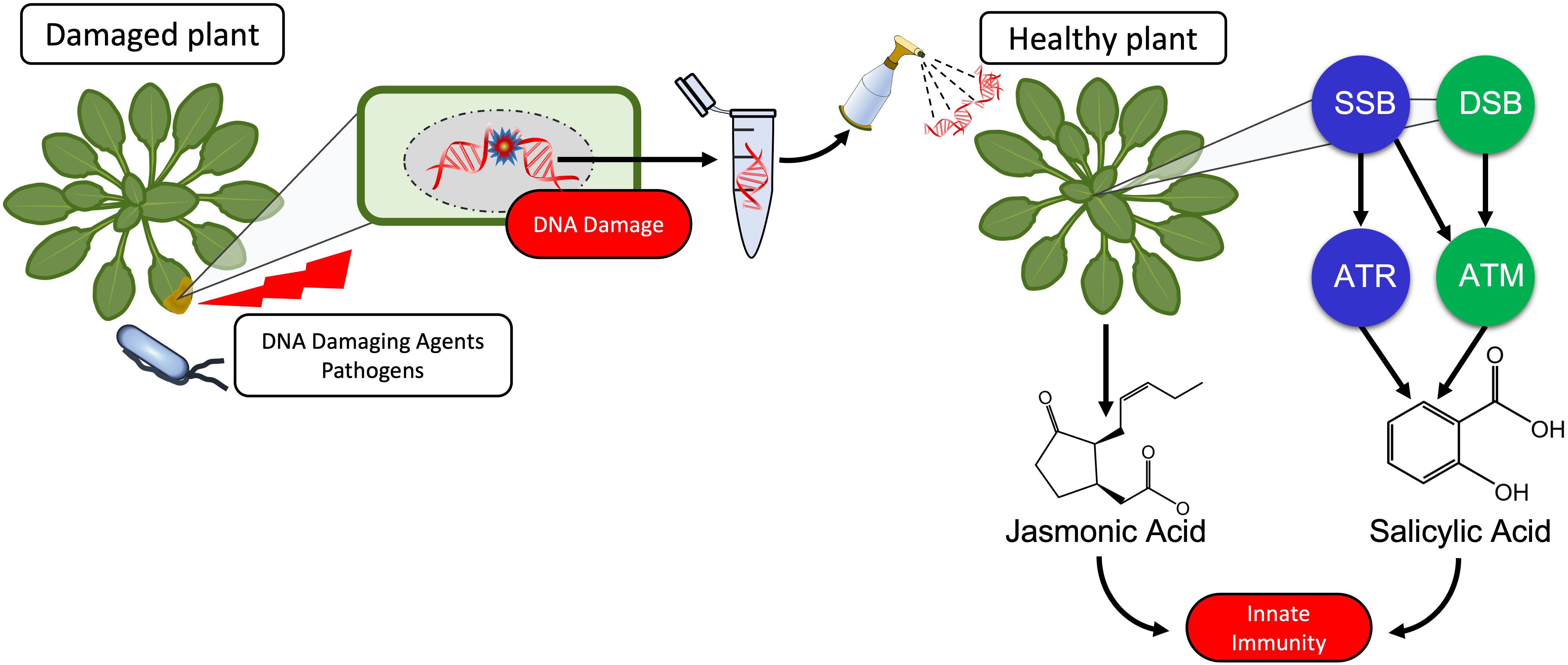 Advanced Technology Research # ATR CYC