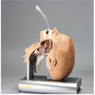 Ambu # 186002000