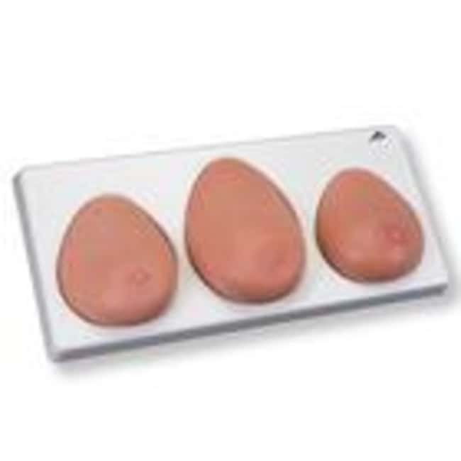 American 3B # ABQL55PR