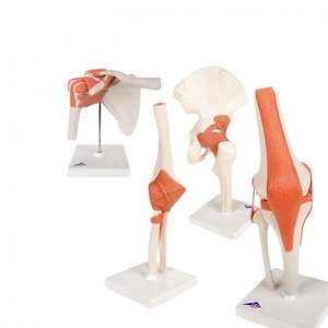 American 3B # S0001-2.0