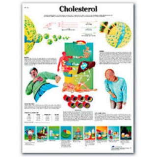 American 3B # SB41463U