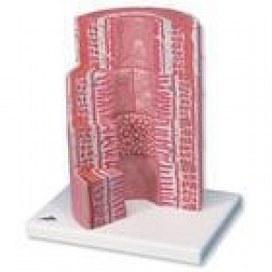 American 3B # VR1422L