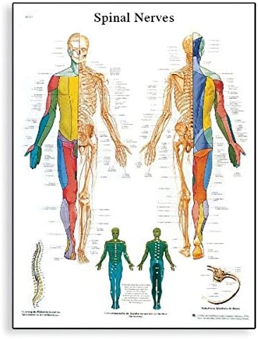 American 3B # VR1621L