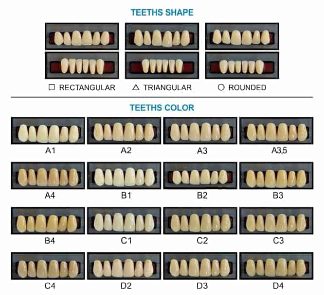 American Tooth Ind # 51-0425