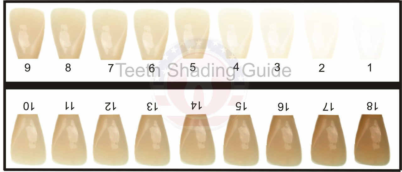 American Tooth Ind # 59-0026