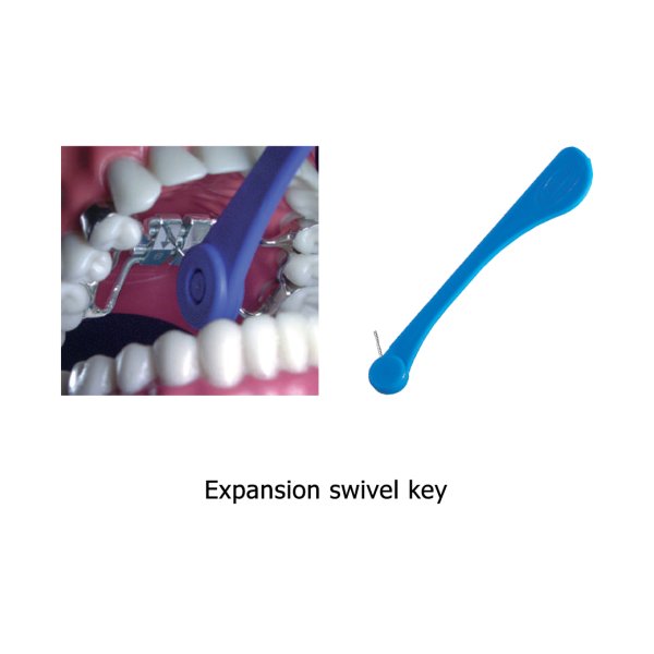 American Tooth Ind # A0558-00