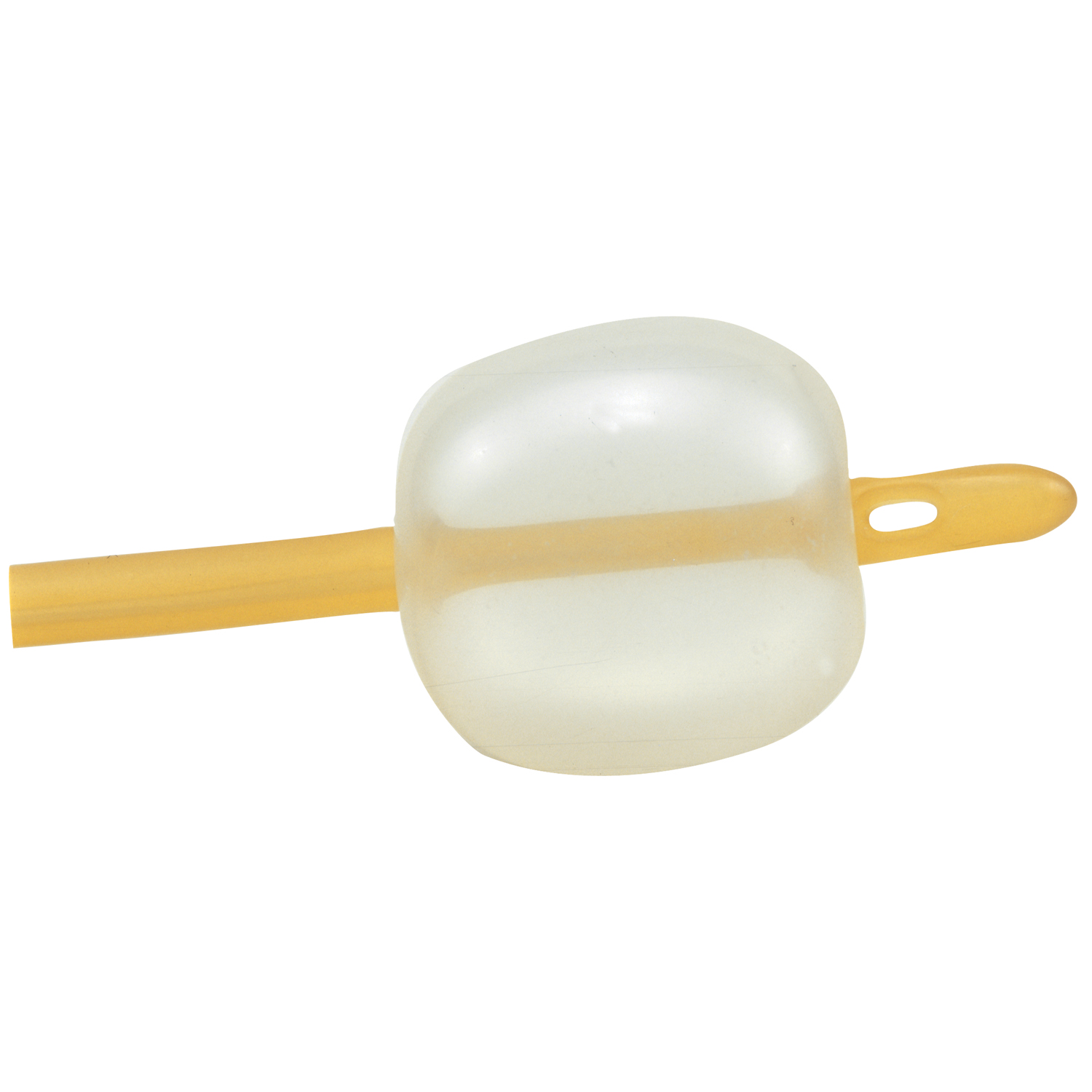 Amsino International # AS42022