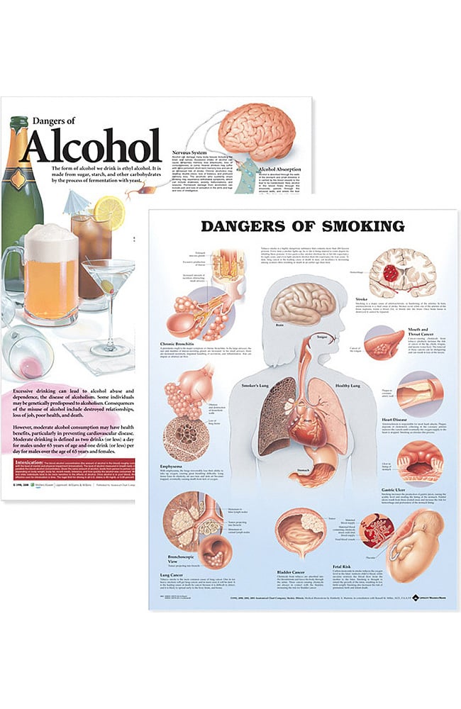 Anatomical Chart # 781782392