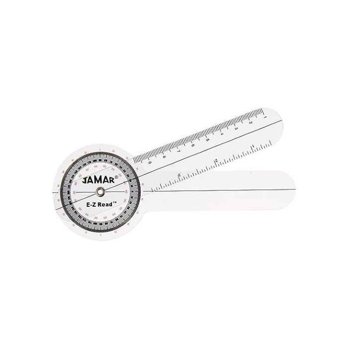 Anatomy Supply # 7539