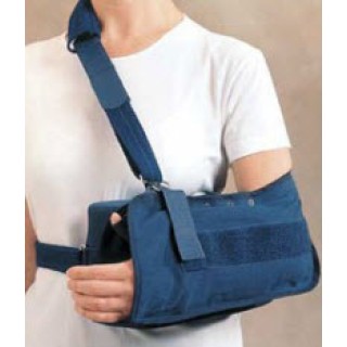 Anatomy Supply # A54930