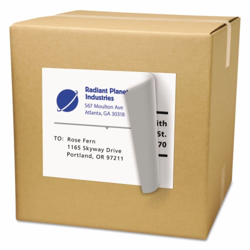 Avery Dennison Medical # 8165