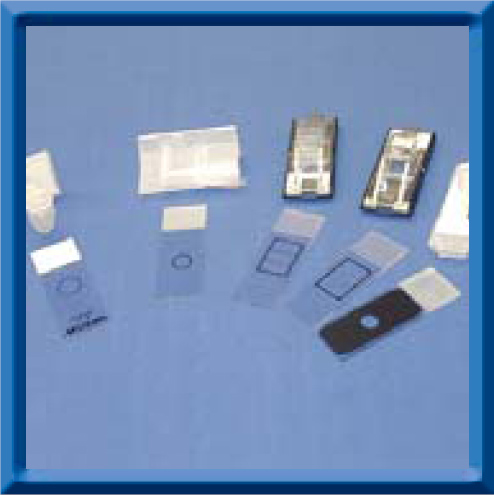 Azer Scientific # ESCS-099