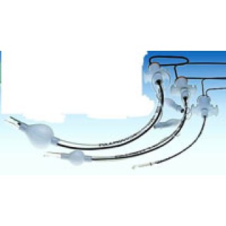 Banyan International # 1022