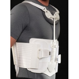 Bio Cybernetics Intl # L0491-S