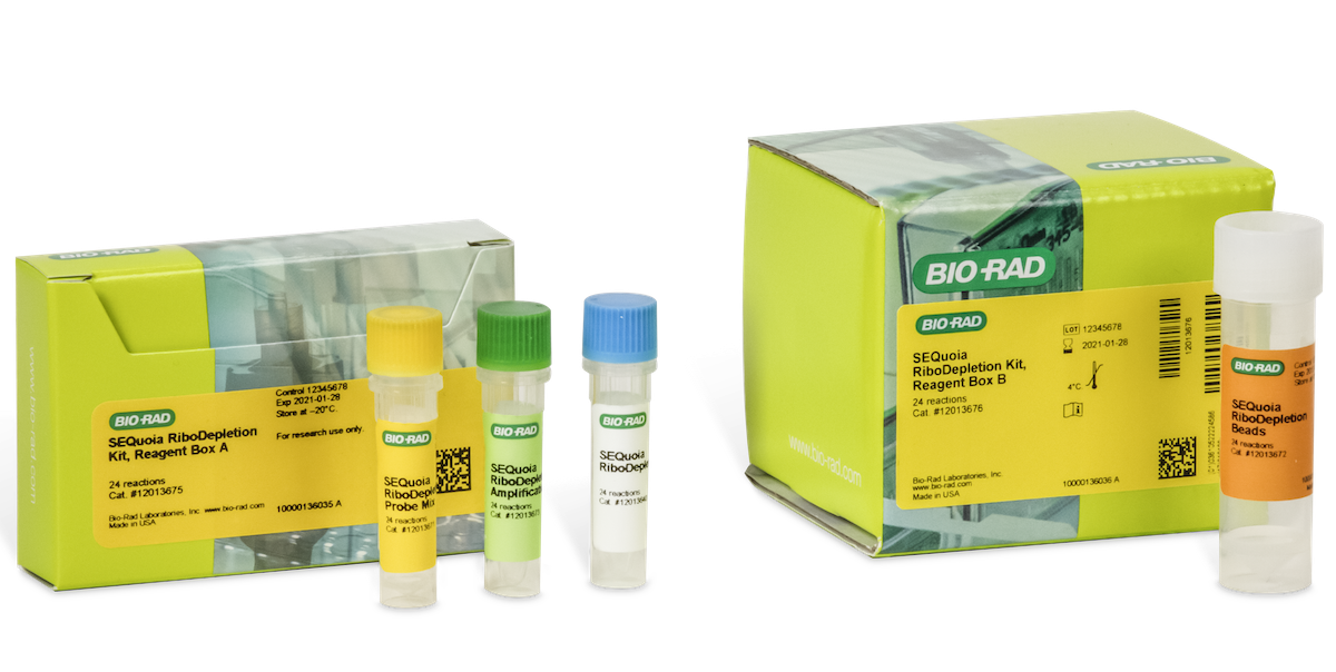 Bio Rad Laboratories # BR727