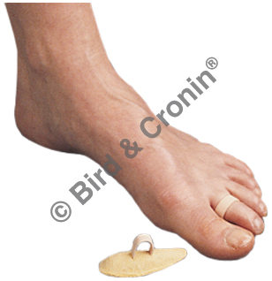 Bird & Cronin # 48458153