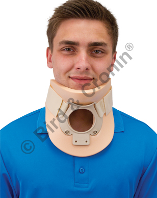 Bird & Cronin # 8147145