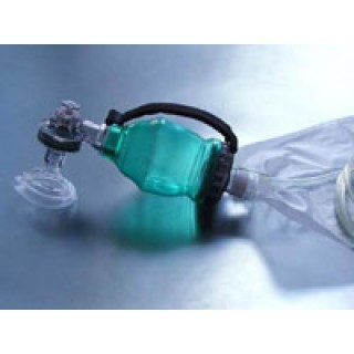 BLS Systems Limited # 4025-H