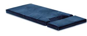 Blue Chip Medical # 5004742554