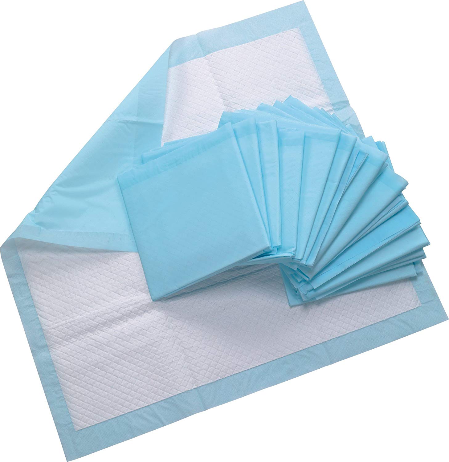 Blue Chip Medical # BCSP-2776/4-