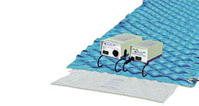 Blue Chip Medical # REPHNG