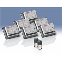 Carolina Chemistries # CC23-640066