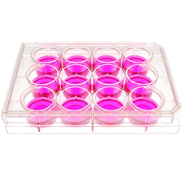 Celltreat Scientific # 212063040