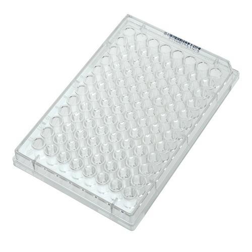Celltreat Scientific # 229596