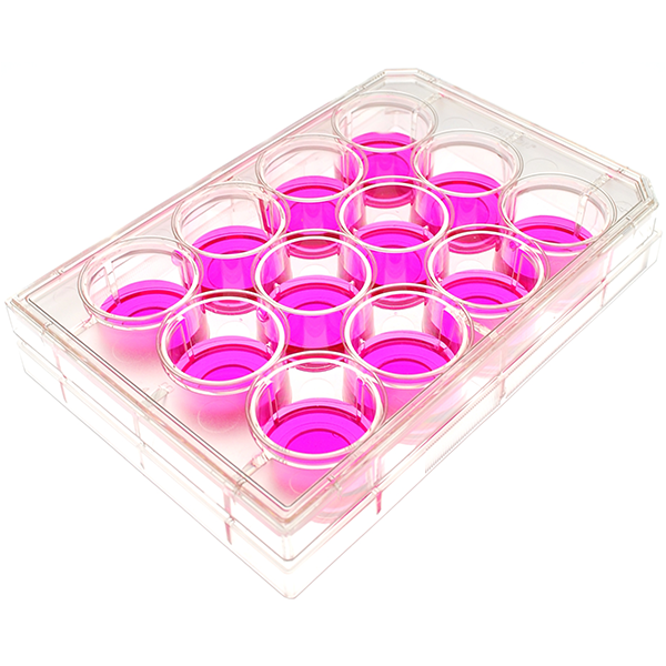 Celltreat Scientific # 312063030