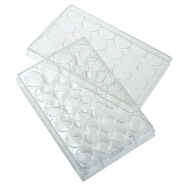 Celltreat Scientific # 324123050