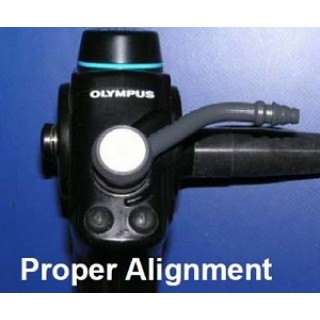 Circon-Gyrus Acmi # MAJ-209