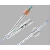 Cook Medical # G19012